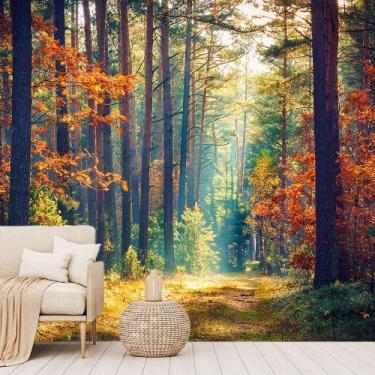Imagem de Papel de Parede Paisagem Floresta Natureza Sala Adesivo - 062pcm - All