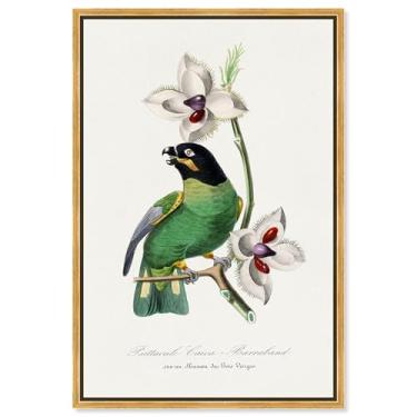 Imagem de Art Remedy Tela de impressões botânicas, 25,4 cm x 38,1 cm, moldura dourada, periquito anelado rosa 1842