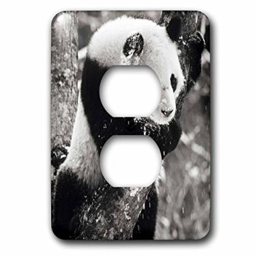Imagem de 3dRose lsp_70183_6 China, Sichuan, urso panda gigante, tampa de tomada de reserva Wolong