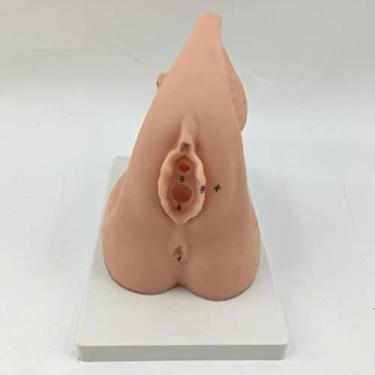 Imagem de Modelo De Cateterismo, Anatomia Do Cateter Ensina O Modelo Fêmea Simples Da Cateterização Para O Auxílio Educacional Médico Do Treinamento Da Ginecologia