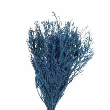 Imagem de Pé de Sapo Azul Desidratado p/ Decoração - Pense Flores