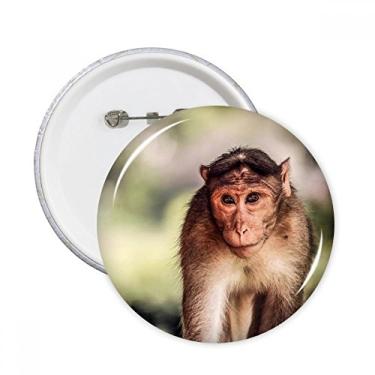 Imagem de Macaco Terrestre Organismo Selvagem Alfinetes Redondos Emblema Botão Decoração Acessório 5pcs