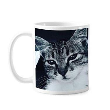 Imagem de Caneca de foto de gato cinza bacana de cerâmica copo de porcelana de café