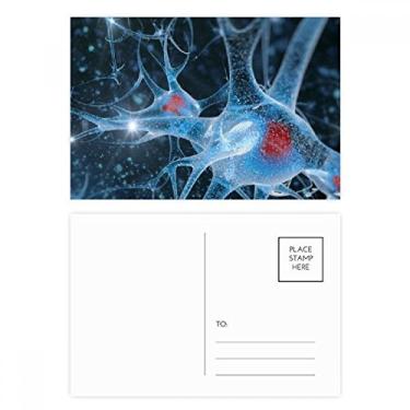 Imagem de Conjunto de cartões postais de aniversário com detalhes da imagem do cérebro