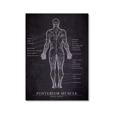 Imagem de Arte de anatomia humana, pintura em tela médica, vintage, esqueleto muscular, educação, pôster, impressão de imagem de parede, decoração de clínica hospitalar (SKU2,8 x 30,5 cm = (20 x 30 cm), sem