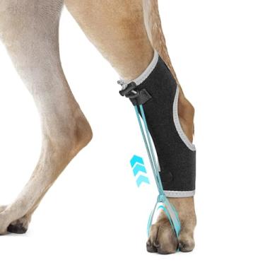 Imagem de GoGoPaw Suporte para articulações para cães para hiperflexão de falanges causadas por danos no nervo ciático e deformidade flexural do carpo - Tiras de bloqueio duplas para suporte seguro e ajustável