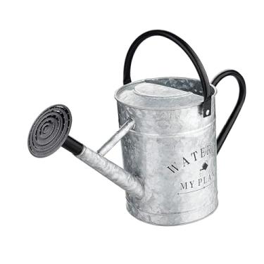 Imagem de Generic Regador de metal com bico removível, aspersor moderno, ferramenta de jardinagem, garrafa de água para jardim, fazenda de bonsai