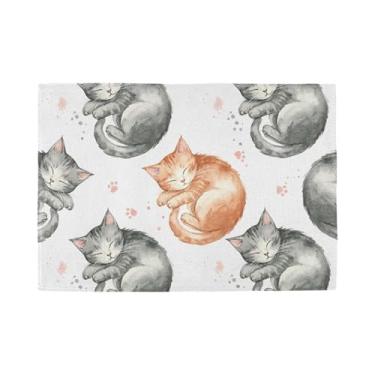 Imagem de Burbuja Jogo americano para gatos dormindo, conjunto de 6 tapetes de mesa laváveis antiderrapantes, resistentes ao calor, para cozinha, mesa de jantar, ambientes internos e externos