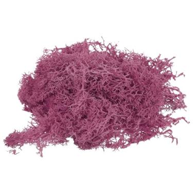 Imagem de 9,9 g Musgo falso musgo artificial musgo natural preservado musgo para artes artesanais floral DIY projeto parede casamento jardim pátio mesa terrários decoração (rosa vermelha)