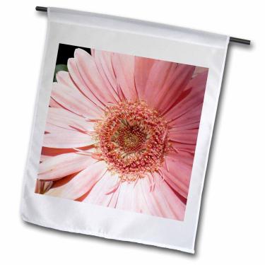 Imagem de 3dRose fl_7497_1 Bandeira de jardim rosa Gerbera, 30,5 x 45,7 cm