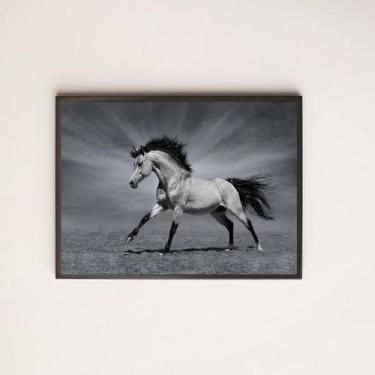 Imagem de Quadro Fotografia Cavalo Preto/Branco 45X34 Com Vidro Preta - Quadros 