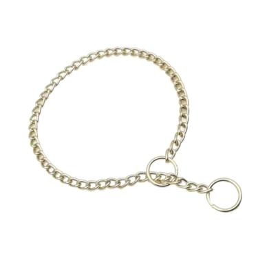 Imagem de Hicost Coleira de metal para cães de corrente pesada, ajustável à prova de intempéries, colar de liga de aço para cães pequenos, médios e grandes (4GG, dourada)