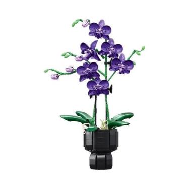 Imagem de Orquídea Cymbidium Phalaenopsis Flores Eternas Planta Em Vaso Blocos D