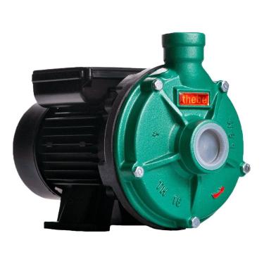 Imagem de Bomba Th-16 1,0 Cv Monofásico Motor Ip55 127/220-254v Thebe Ebara