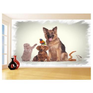 Imagem de Papel De Parede 3D Animais Cão Gato Petshop 3,5M Anm414 - Você Decora