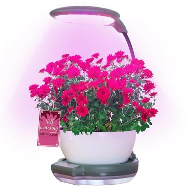 Imagem de Dewilde Trading Co Sistema de cultivo de jardim interno, base de plantas autoirrigável, sistema de jardinagem inteligente com luz LED de 17 W e temporizador automático, para vegetais e ervas (sem