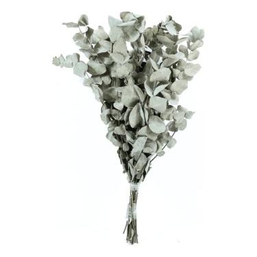 Imagem de Planta Seca Eucalipto Verde 50cm