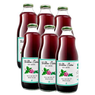 Imagem de Kit 6X: Suco de Uva com Hortelã Sem Açúcar Villa Piva 1L
