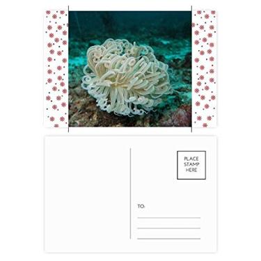Imagem de Cartão postal oceano verde água-viva ciência natureza Natal flor celebração cartão postal bênção