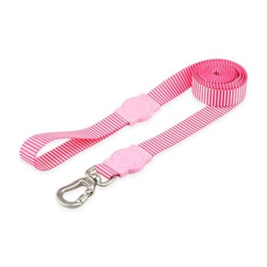 Imagem de Mood Pet Coleira Guia 2 Metros Para Cães Cachorro Adestramento Passeio Porte Grande Médio Pequeno (Queens, G)