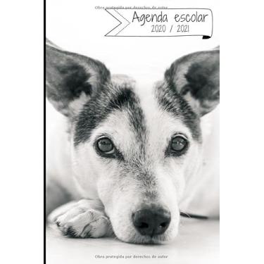 Imagem de AGENDA ESCOLAR 2020-2021: Agenda semana vista (Septiembre 2020 / Agosto 2021) | Planificador semanal (Español) | Calendario | Colegio, secundaria, estudiante | Tapa blanda Perro