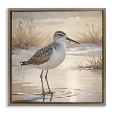 Imagem de Stupell Industries Arte de parede em tela flutuante marrom iluminado pelo sol Sandpiper in Shallow Water, design de Susan Arnot, 63 x 63 cm