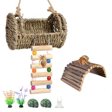 Imagem de Acsist Esconderijo de caranguejo eremita com escada, brinquedos de escalada de lagarto, cabana de caranguejo eremita com plantas de aquário, habitat de répteis para lagartixas, hamsters, ratos