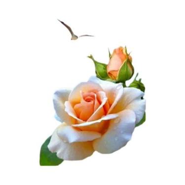 Imagem de Pintura Diamante 5D Paisagem Litorânea Ao Pôr Do Sol, Cobertura Total,