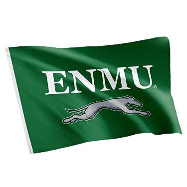 Imagem de Desert Cactus Bandeira ENMU da Universidade Oriental do Novo México - Faixa de galgos de 9,5 x 1,5 m, tecido durável interno/externo, design 100% poliéster (estilo 1)