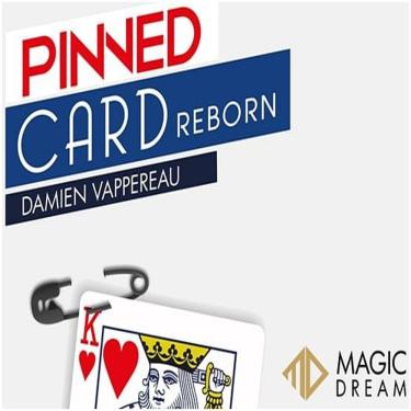 Imagem de Pinned Card Reborn Damien Vappereau B+