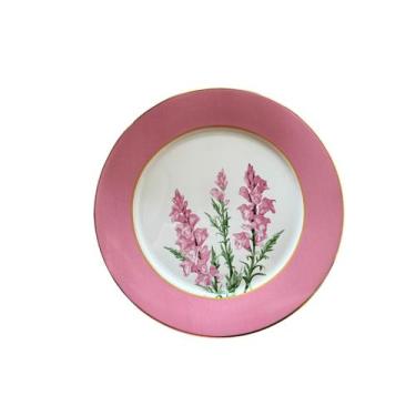 Imagem de Prato de Sobremesa Boca de Leão Rosa - Scalla