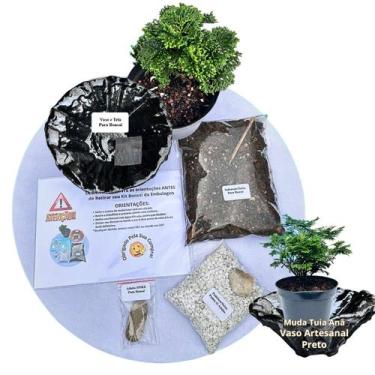 Imagem de Kit Bonsai Faça Você Mesmo Com Uma Muda De Tuia Anã - Vaso Artesanal P