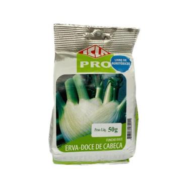 Imagem de Funcho Doce/ Erva Doce - 50gramas De Sementes - ISLA SEMENTES