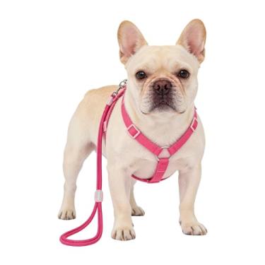 Imagem de Touchdog Conjunto de coleira e coleira para cães Sugar Series em forma de Y, ajustável, antipuxão, para cães pequenos e médios, arnês de nylon leve para caminhadas, treinamento, viagem (vermelho, P)