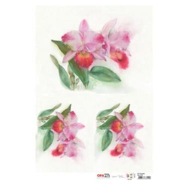 Imagem de Papel Decoup. 2379 Flor Orquidea - OPA