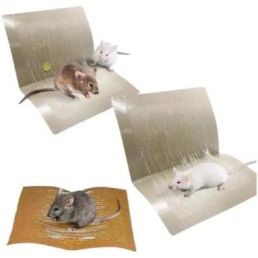 Imagem de Gruda Rato Placas Adesivas Multiuso para Captura Passiva  Kit com 10 U