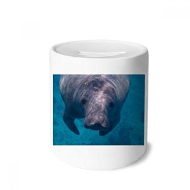 Imagem de DIYthinker Fotografia de organismo marítimo com imagem de animal, caixa de dinheiro, caixa de moedas de cerâmica, presente de cofrinho