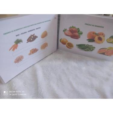 Imagem de Atividade De Ciências Completo Para Crianças C/ Transtornos - T&D JOGO