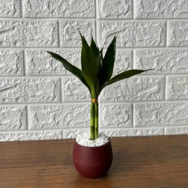 Imagem de Bonsai Decorativo Artificial com Planta Artificial Tipo Bambu, Vaso de Planta Colorido para Decoração de Sala, Escritório e Ambiente Interno (Bordô)