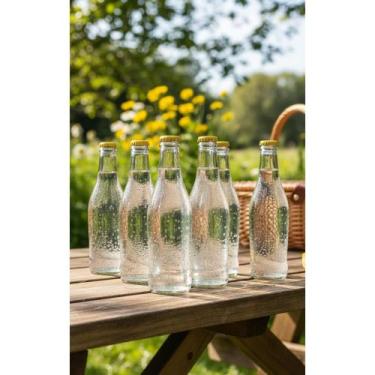 Imagem de Água Tônica Garrafa 250ml - Pack c/ 6 Unidades Refrescantes - Congratu
