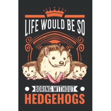 Imagem de Hedgehog Notebook: Life Would Be So Boring Without Hedgehogs Igel / 6x9 Inches / 120 graph sites Sites
