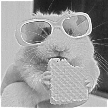 Imagem de Kit protetor de cinto + capa de volante type'r branco - NOVAT