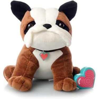 Imagem de Gravador de voz digital MBHB animal com gravador de 20 segundos, ditafone para capturar os batimentos cardíacos do bebê durante a gravidez + ultrassom, não é um dispositivo médico, valentão