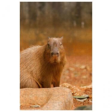 Imagem de Quebra-cabeça Capivara De 300 Peças