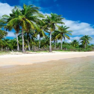 Imagem de Quadro Decorativo Paisagem Tropical Praia Sri Lanka Arte para Parede Decoração Moderna 50x50cm