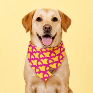 Imagem de Bandana para Pet - PetChic - Amarelo e Pink, P