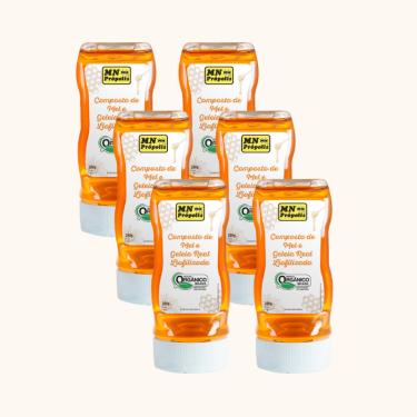 Imagem de Kit 6X: Composto de Mel e Geléia Real Orgânico MN Food 280g