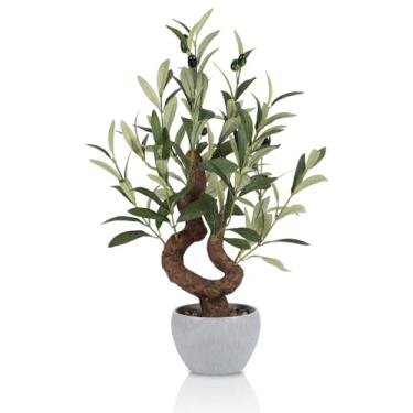 Imagem de TOARTi Vaso de oliveira artificial com vaso de pedra, bonsai japonês de 25,4 cm de altura, plantas falsas, planta de mesa, decoração realista para casa, quarto, banheiro, escritório