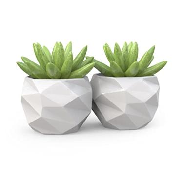 Imagem de 2 Vasos Cachepot Suculenta Ervas Decora Mesh Mini Pp58