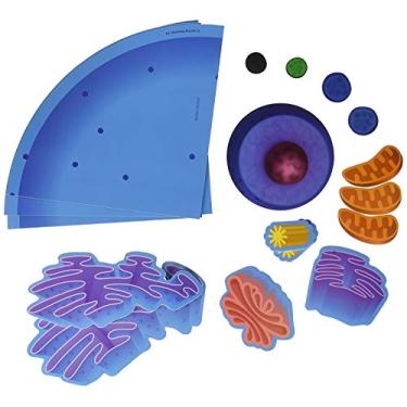 Imagem de Learning Resources LER6039 Giant Magnetic Animal Cell, Multi-colored, 5"